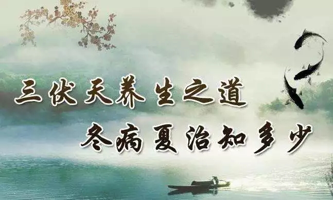 三伏天里这么做才养生！原来，这么多年都过错了！