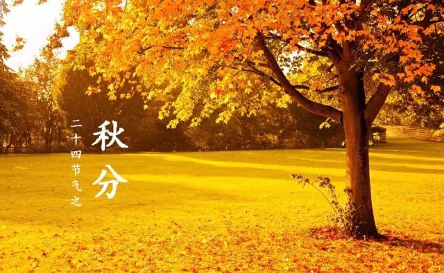 秋分 | 一叶落知天下秋，“秋分”养生正当时