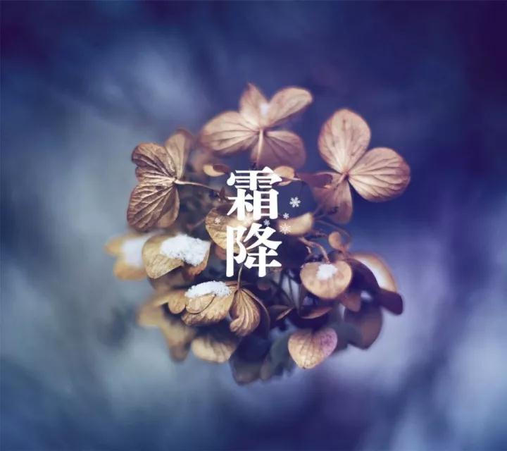 【霜降养生】一年补透透，不如补霜降！