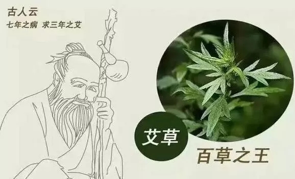 冬季艾灸别错过 “艾”护身体正当时