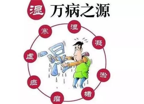 补阳气，祛寒湿，怎能错过督脉熏蒸