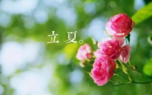 立夏 | 夏日初成，与“阳气”拥抱的最好时节