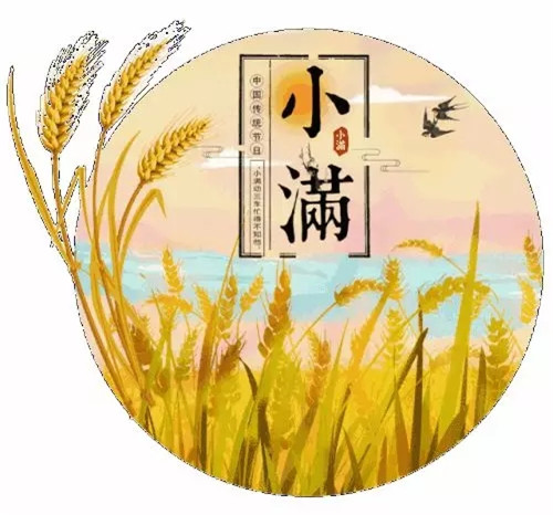 小满节气话养生，振奋阳气首当先