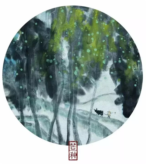 【芒种养生】为什么说现在是督脉熏蒸最好的季节?