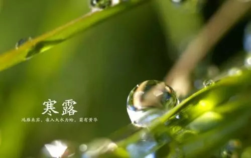 寒露丨一真督脉熏蒸防寒补阳，让你每天元气满满！