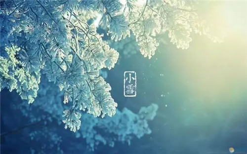 小雪丨扶阳补气好时节，一真督脉熏蒸驱逐寒气暖一冬