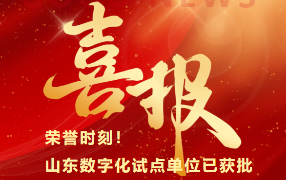 【喜报】临沂市人民医院联合杭州医尔睿的共建项目成功获批山东省数字中医药试点项目